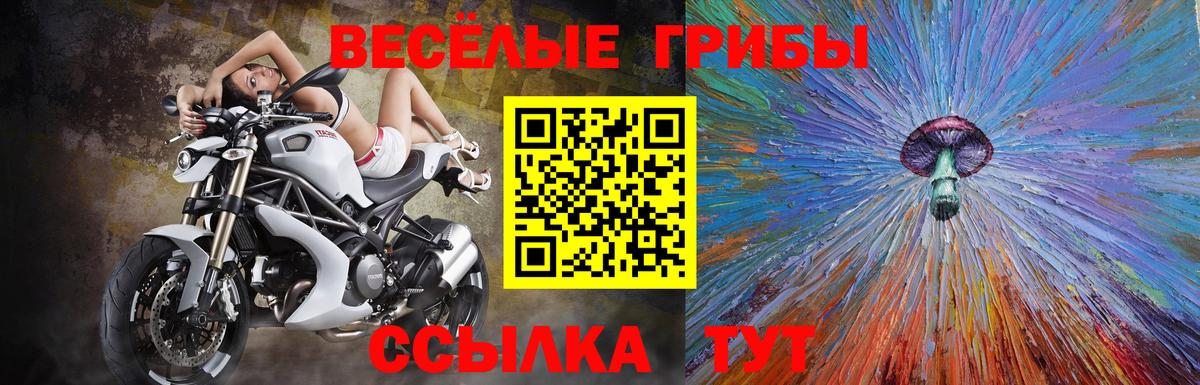 Псилоцибиновые грибы Cubensis  Вход с VPN  Находка  Галлюциногенные грибы мухоморы 